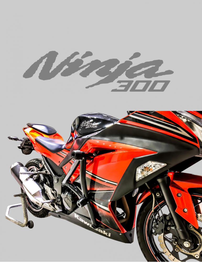 Stunt Cage NINJA 300 KAWASAKI
